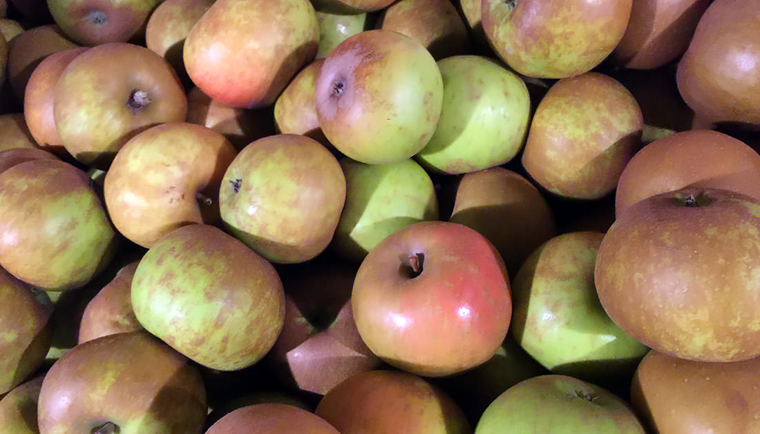 Photo of apples grown at Meadowbrook Orchards